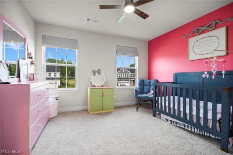 1035 Ashford Court Columbia Station OH 44028