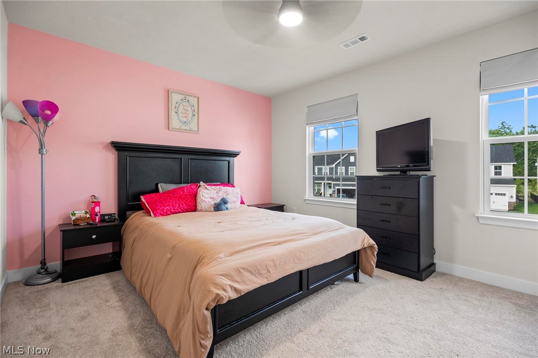 1035 Ashford Court Columbia Station OH 44028