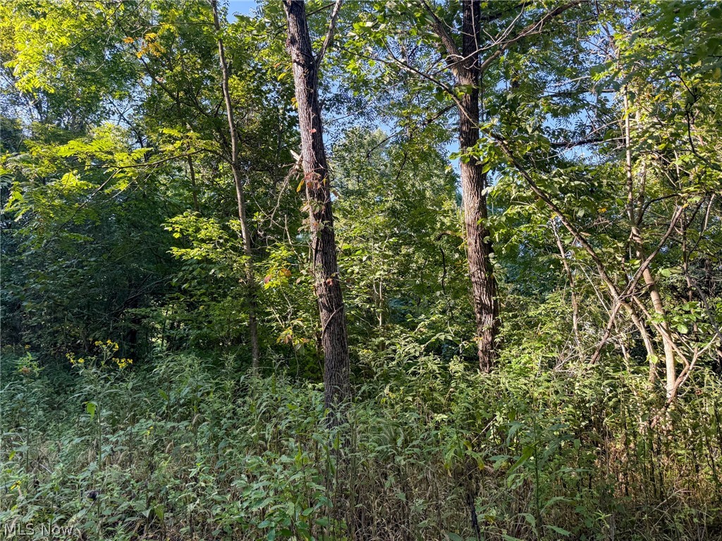 41298 Pleasant Ridge Road Graysville OH 45734