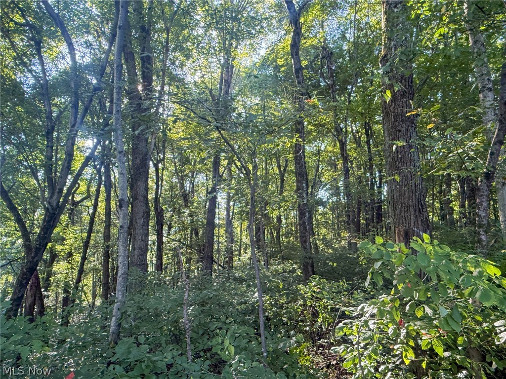 41298 Pleasant Ridge Road Graysville OH 45734