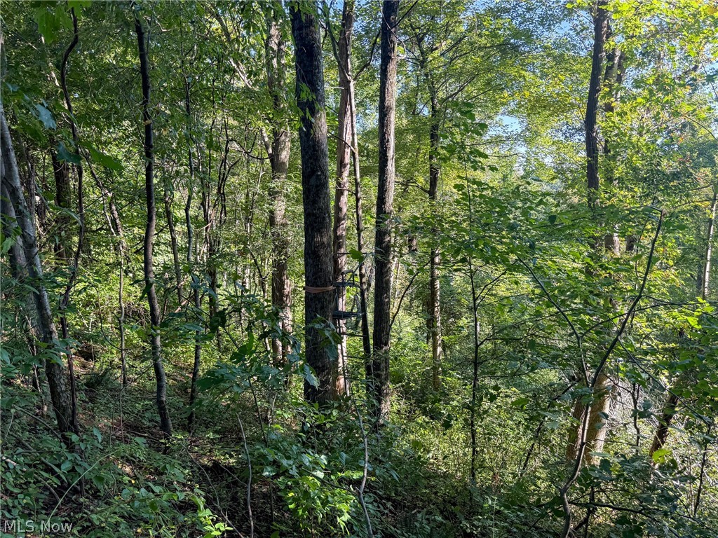 41298 Pleasant Ridge Road Graysville OH 45734