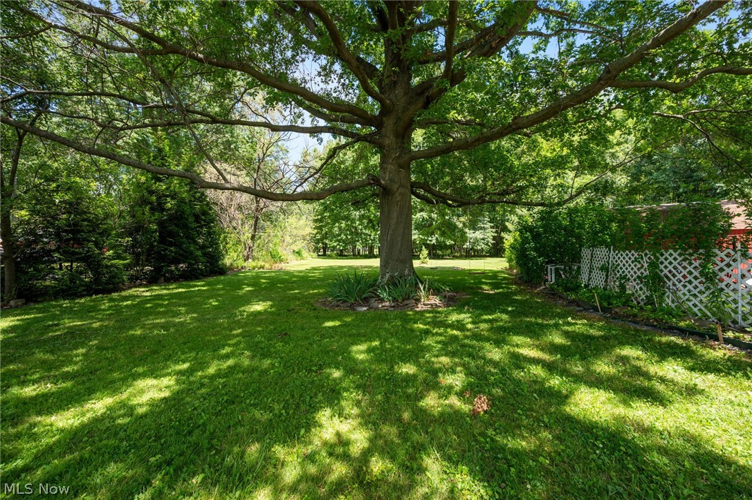 5950 Parkman Road NW Warren OH 44481