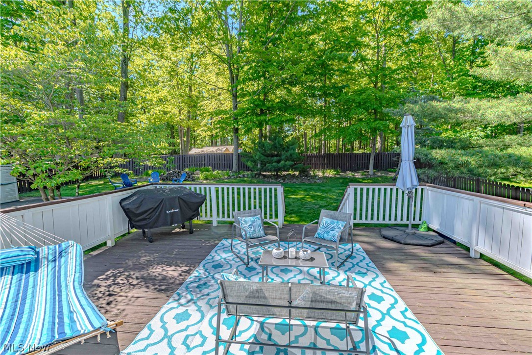 1310 Waldo Way Twinsburg OH 44087