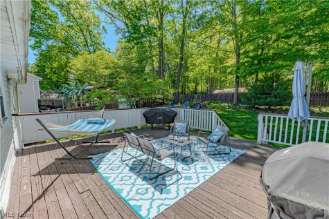 1310 Waldo Way Twinsburg OH 44087