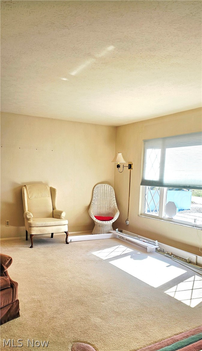 2137 Maplewood Road Stow OH 44224