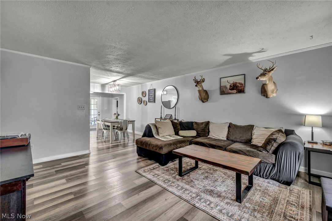 3665 Elmhurst Court Kent OH 44240