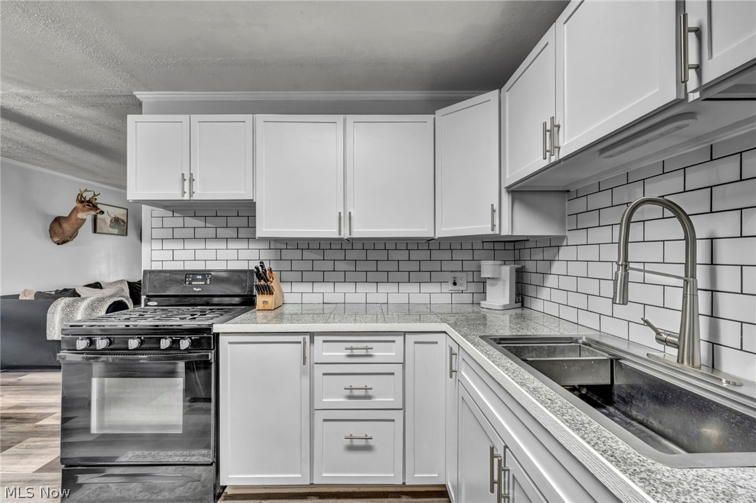 3665 Elmhurst Court Kent OH 44240