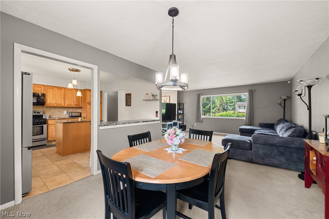 353 Judita Drive Brunswick OH 44212
