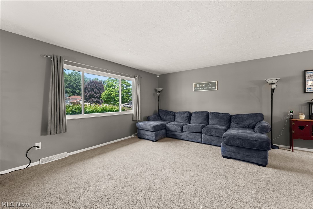 353 Judita Drive Brunswick OH 44212
