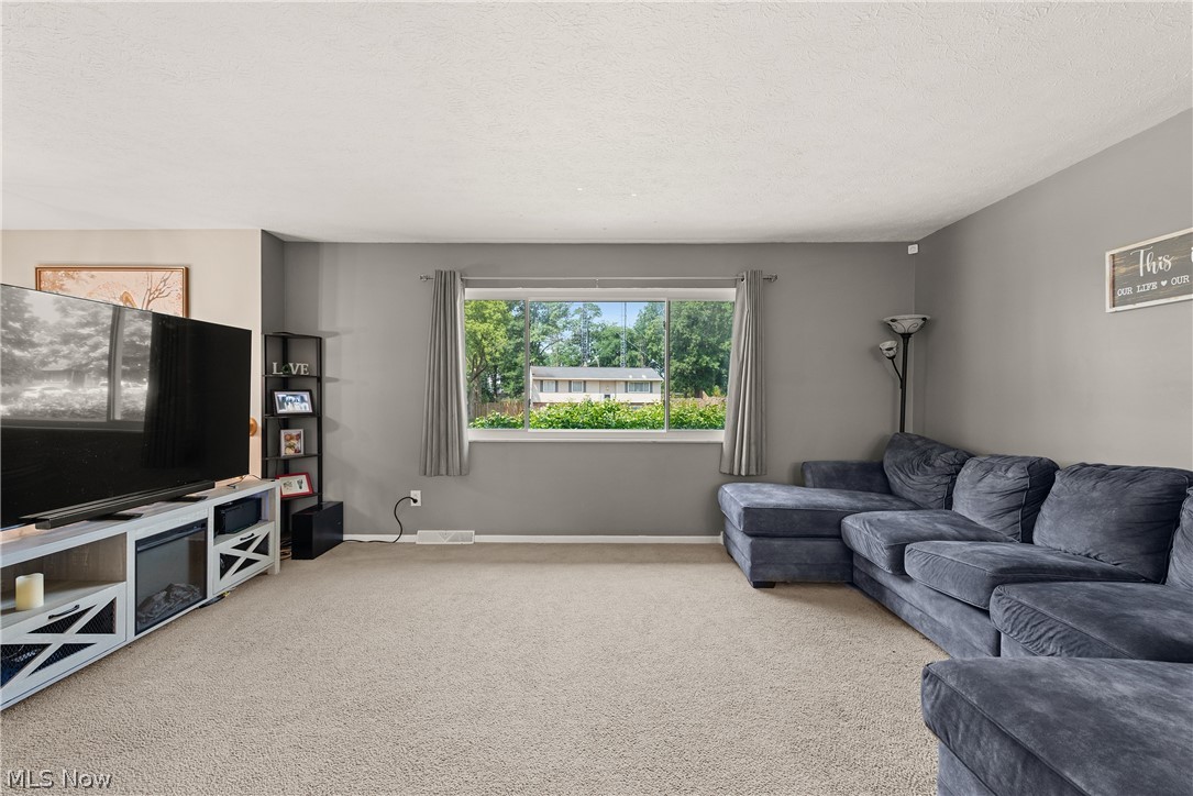 353 Judita Drive Brunswick OH 44212