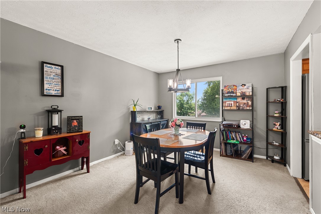 353 Judita Drive Brunswick OH 44212