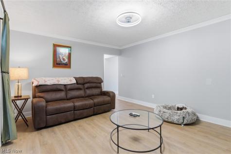 738 Anthony Street Richmond Heights OH 44143