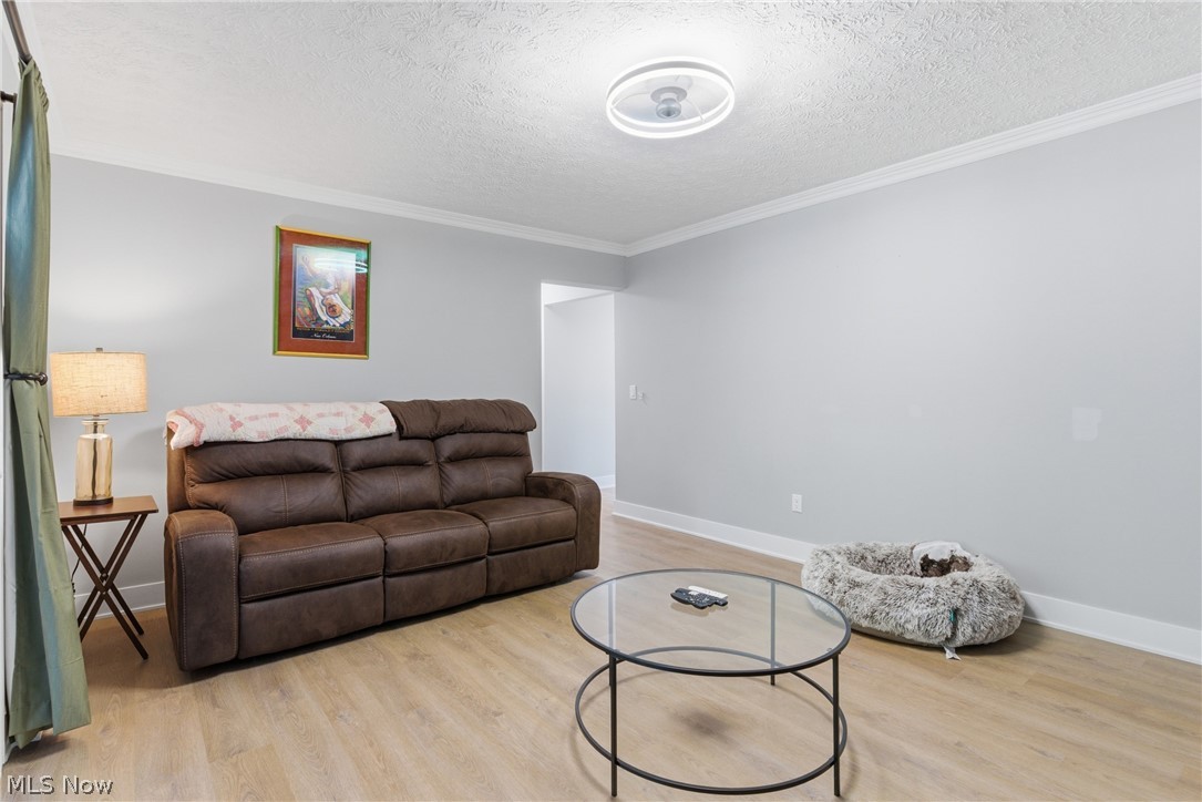 738 Anthony Street Richmond Heights OH 44143