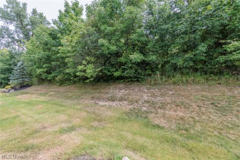 8541 Alexis Drive Macedonia OH 44056