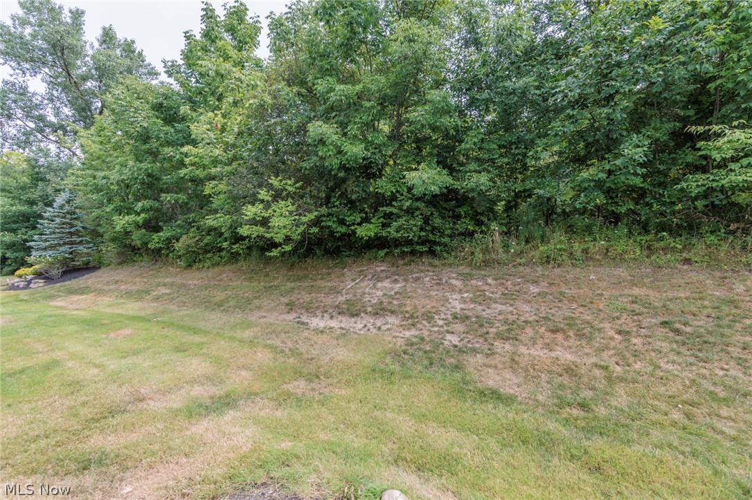8541 Alexis Drive Macedonia OH 44056