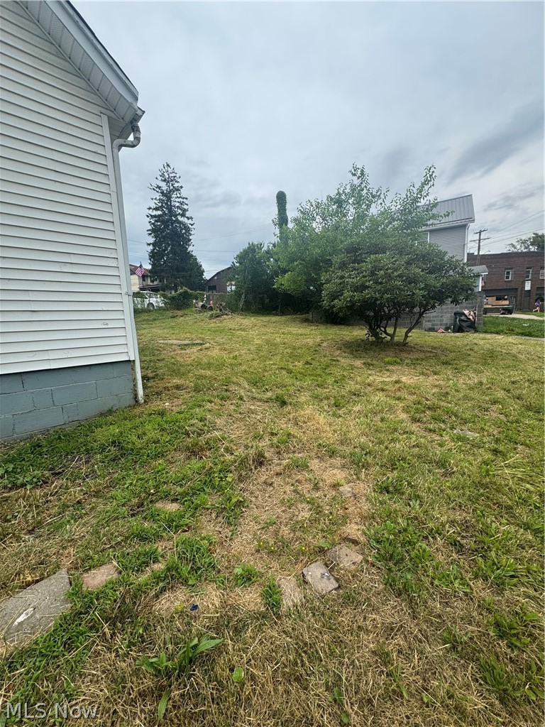 103 Willow Street Bethesda OH 43719