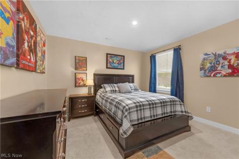 35779 Crystal Creek Court Grafton OH 44044