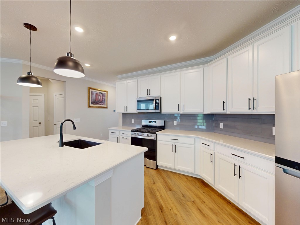 7789 Clydesdale Drive Mentor OH 44060