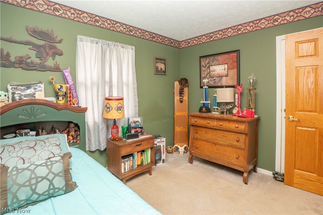 8835 Dover Road Apple Creek OH 44606