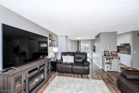 1624 Kasserine Court Twinsburg OH 44087