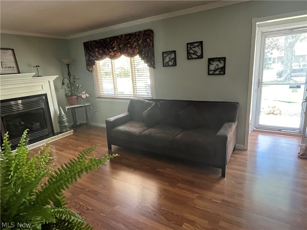 25540 Chatworth Drive Euclid OH 44117