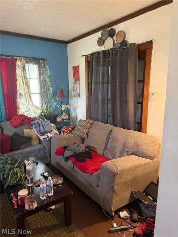 919 E 139th Street Cleveland OH 44110