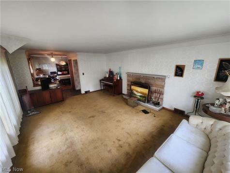 1425 Lynn Park Drive Cleveland Heights OH 44121