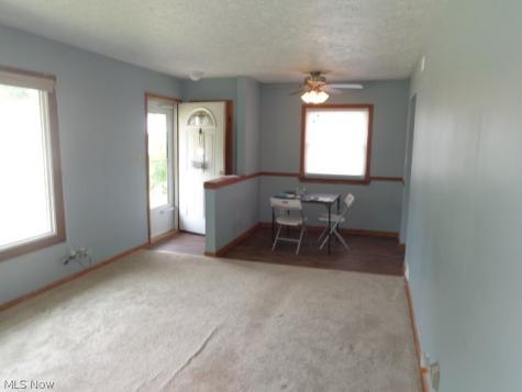 11141 Gabriella Drive Parma OH 44130