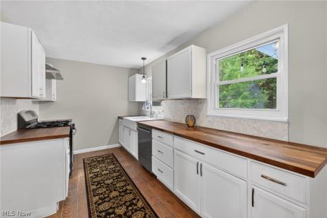 1169 Ranchland Drive Mayfield Heights OH 44124
