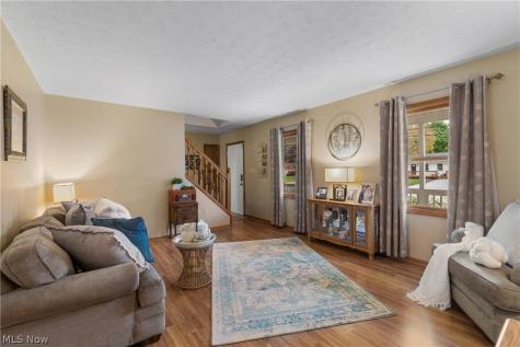 1972 Springfield Lake Boulevard Akron OH 44312