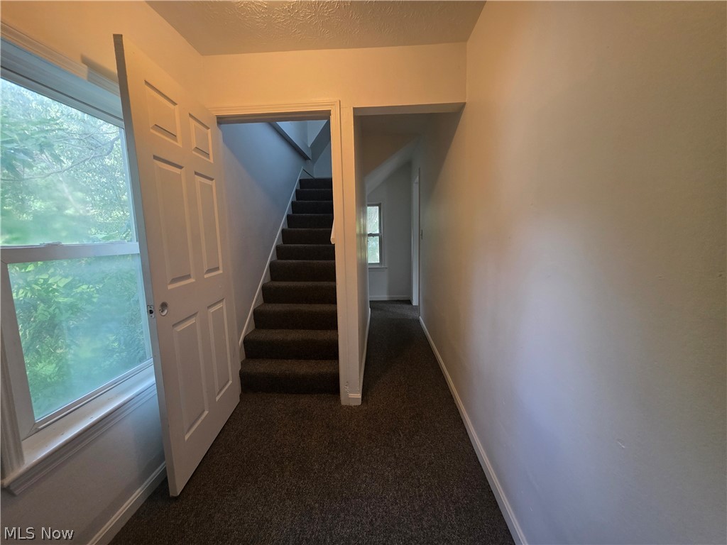 1705 E 84 Street Cleveland OH 44103