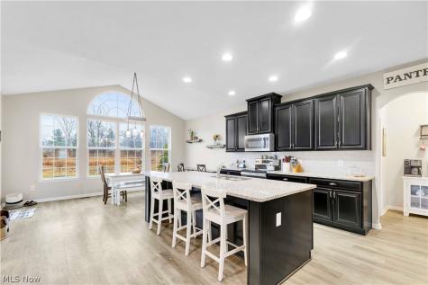 3147 Fairview Drive Avon OH 44011