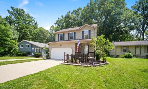 1115 Bryce Avenue Aurora OH 44202