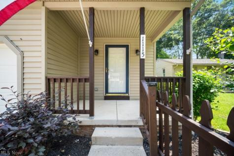 1115 Bryce Avenue Aurora OH 44202