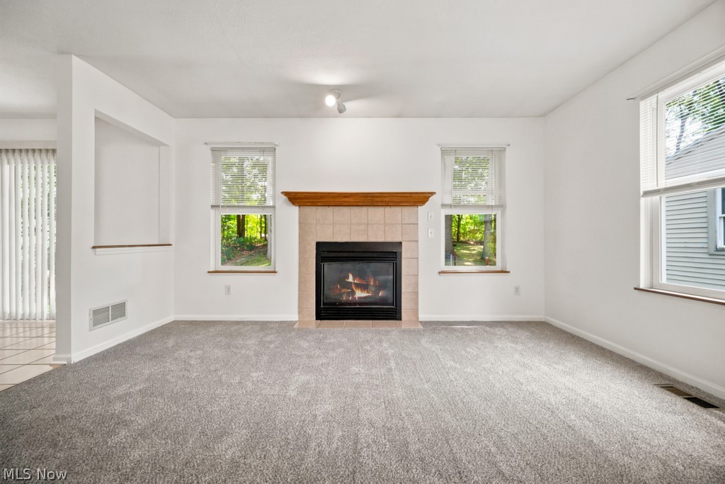 1115 Bryce Avenue Aurora OH 44202