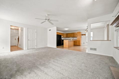 1115 Bryce Avenue Aurora OH 44202