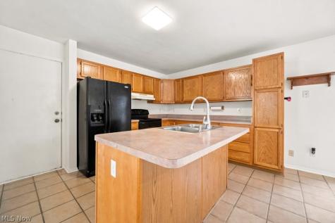 1115 Bryce Avenue Aurora OH 44202