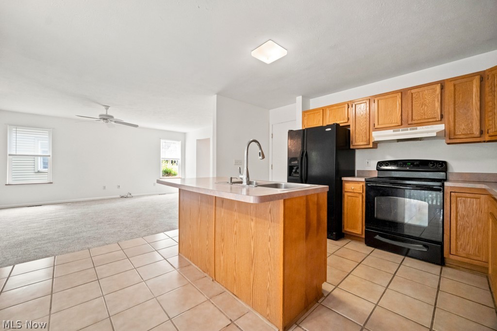 1115 Bryce Avenue Aurora OH 44202