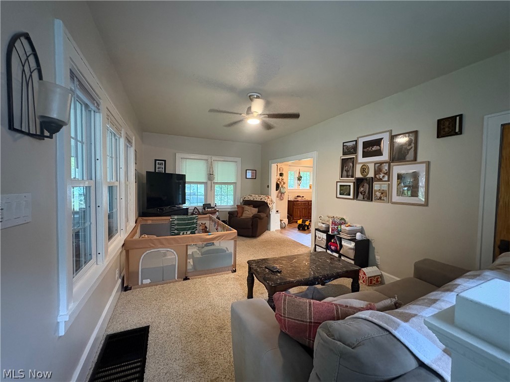 118 E Woodland Avenue Columbiana OH 44408