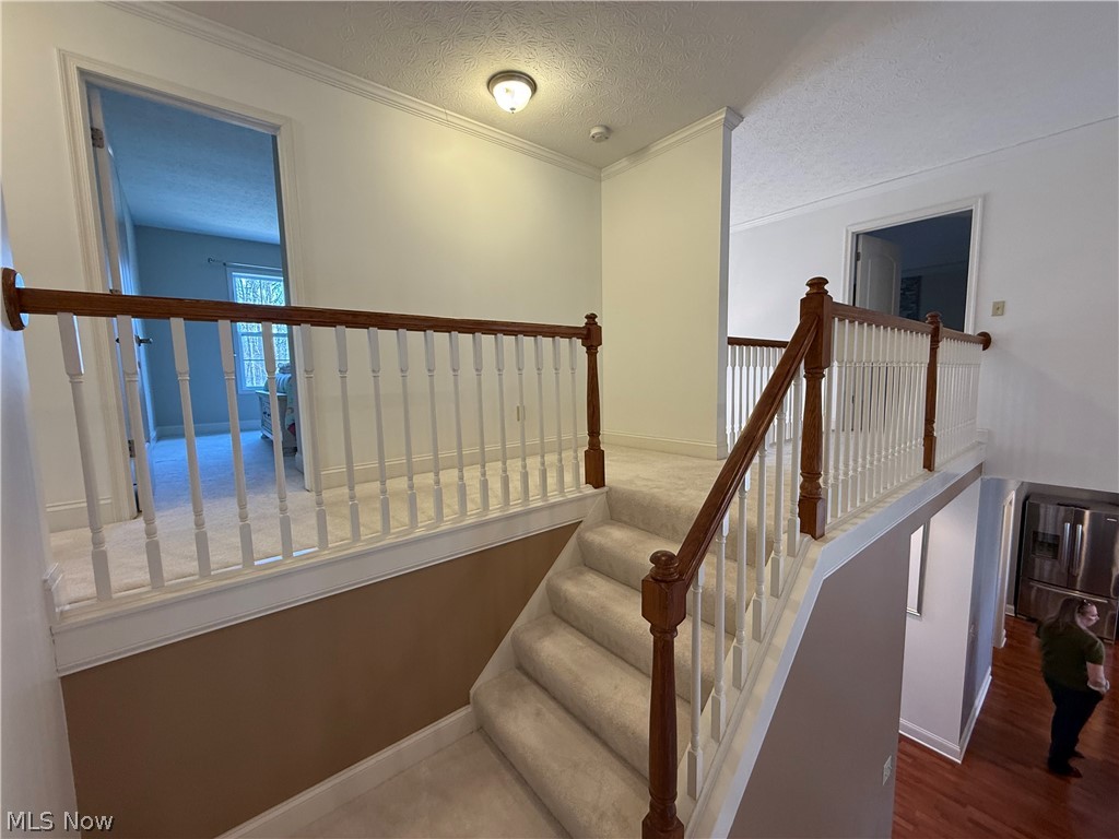 8340 Claus Road Amherst OH 44001