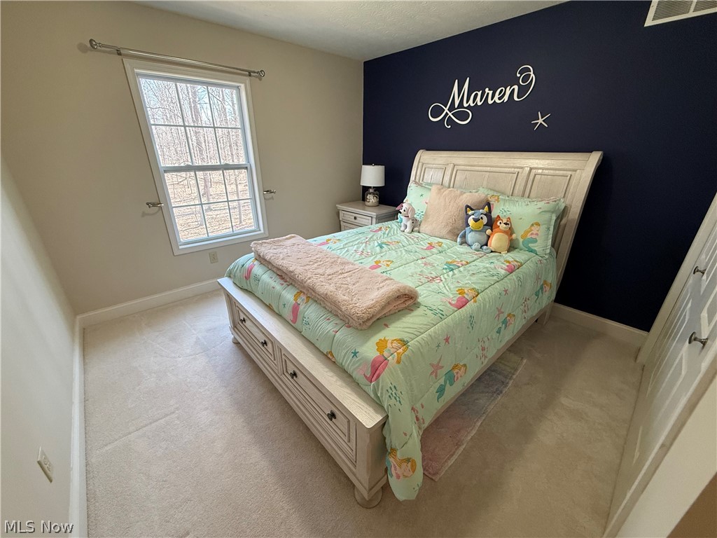 8340 Claus Road Amherst OH 44001
