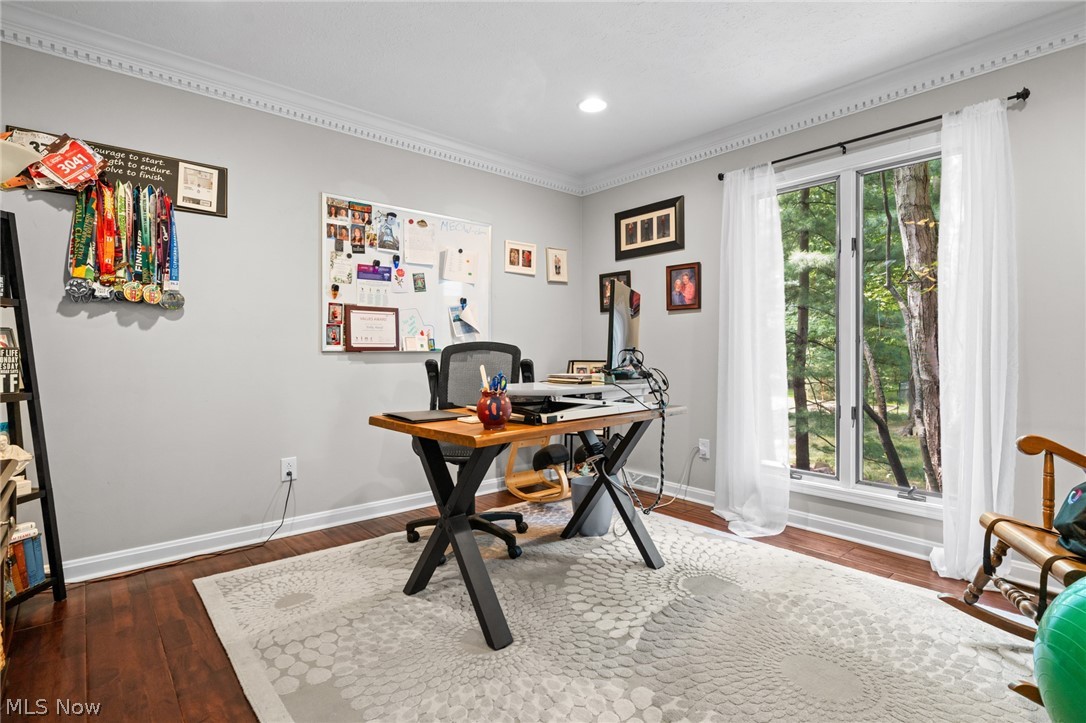 4510 Glen Eagle Drive Brecksville OH 44141