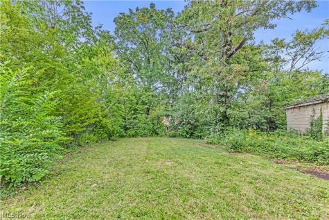 15521 N Lotus Drive Cleveland OH 44128