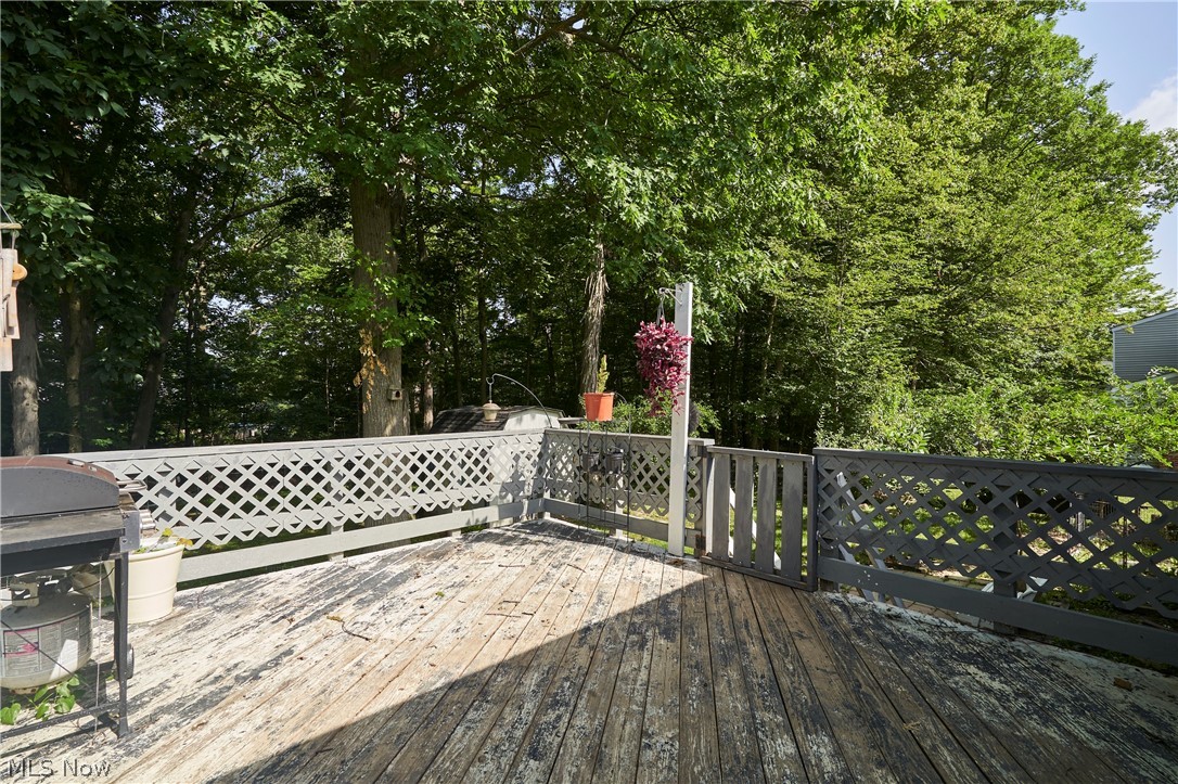 266 Jasper Lane Medina OH 44256