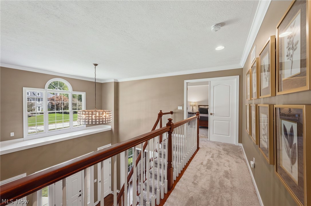 6164 Burr Oak Way Hudson OH 44236
