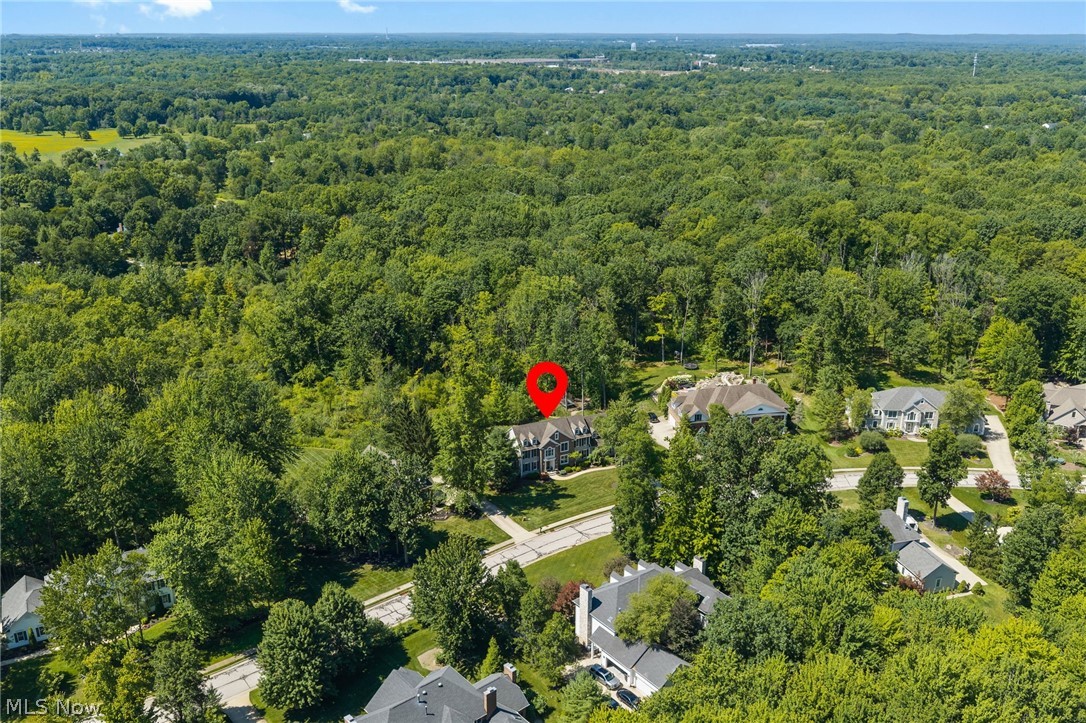6164 Burr Oak Way Hudson OH 44236