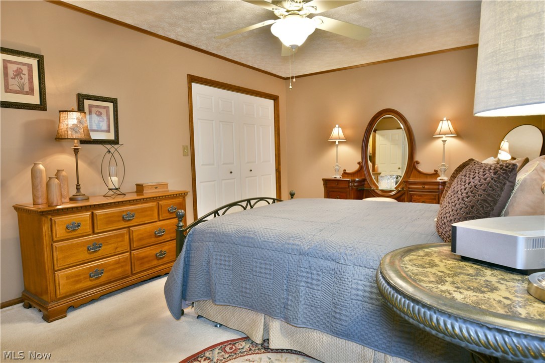 541 Stoneybrook Lane Canfield OH 44406