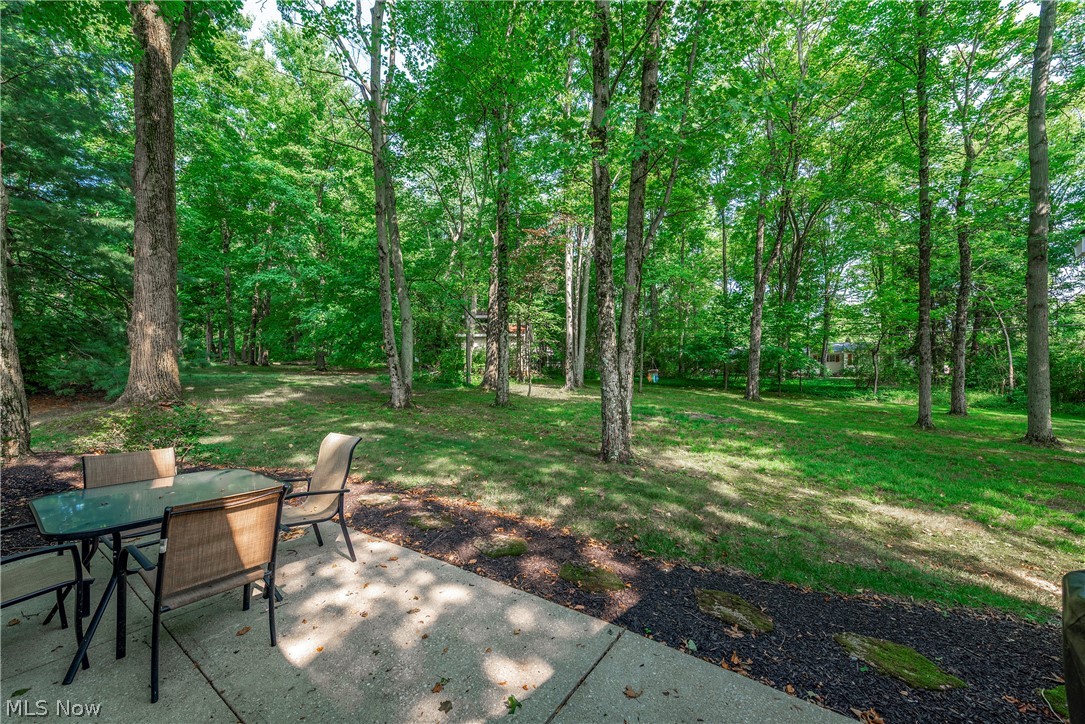 6705 Hawthorne Drive Brecksville OH 44141