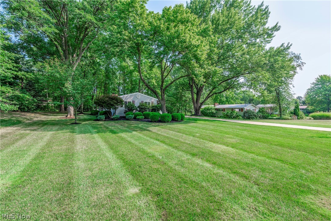 6705 Hawthorne Drive Brecksville OH 44141