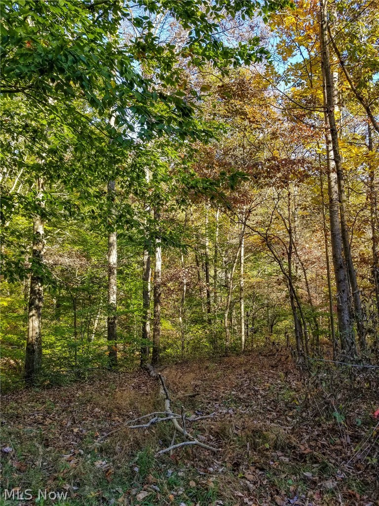 11815 Plainfeild Road New Concord OH 43762